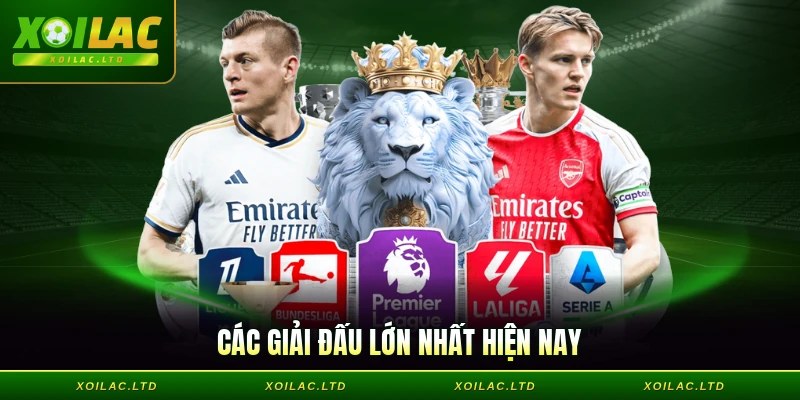 Các giải đấu lớn nhất hiện nay