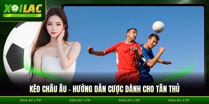 Kèo châu Âu - Hướng Dẫn Cược Dành Cho Tân Thủ