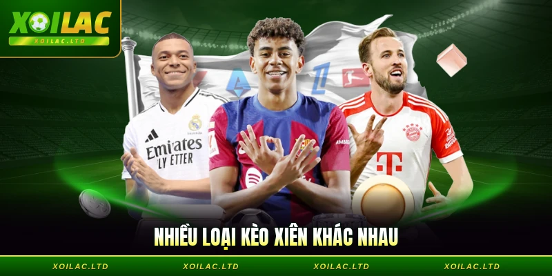 Nhiều lựa chọn cho thành viên khi tham gia