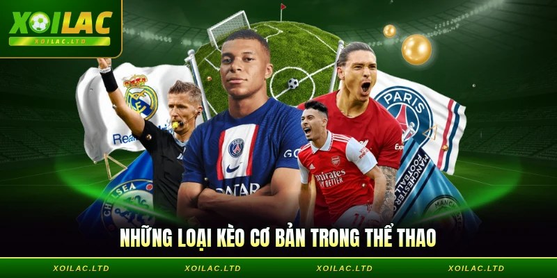 Những loại kèo cơ bản trong thể thao