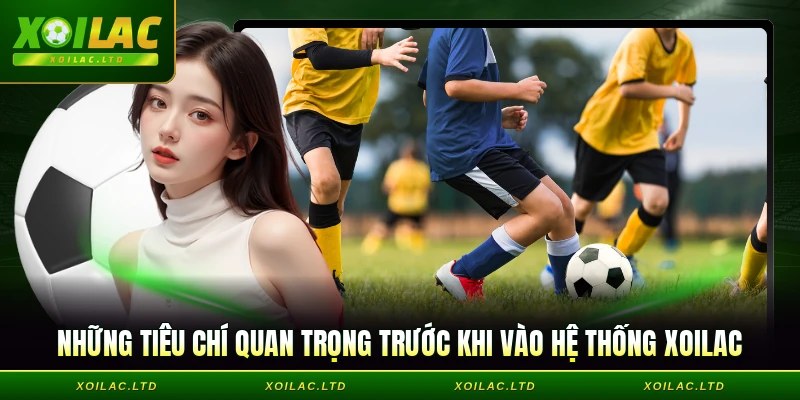 Những tiêu chí quan trọng trước khi vào hệ thống