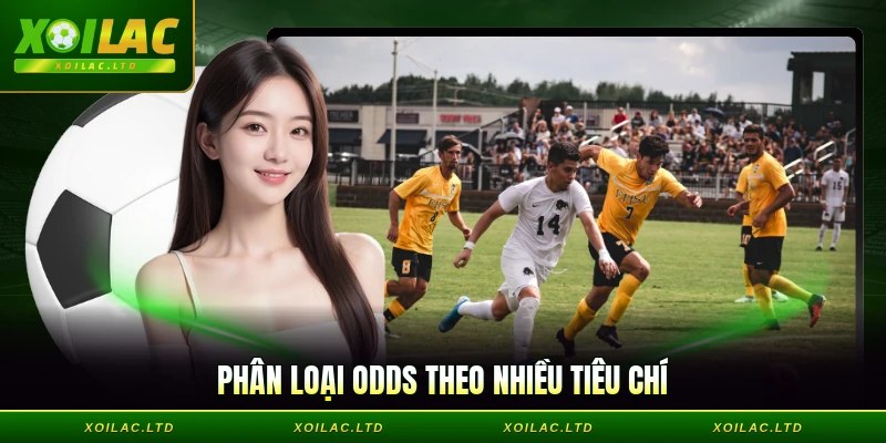Phân loại odds theo nhiều tiêu chí