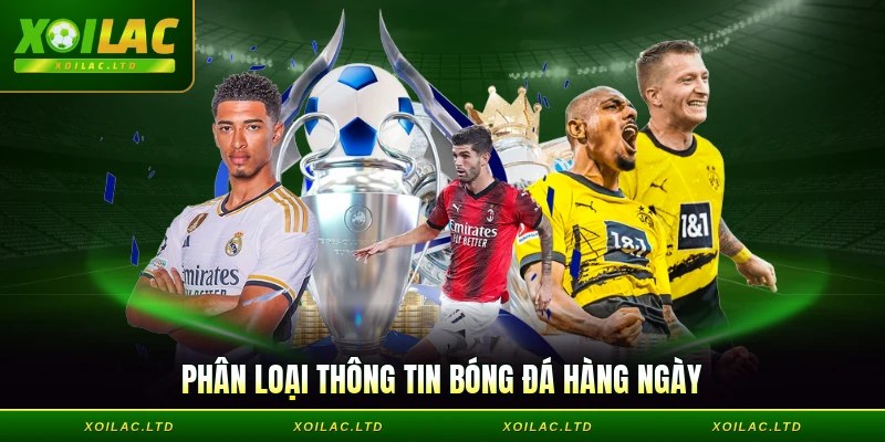 Phân loại thông tin bóng đá hàng ngày