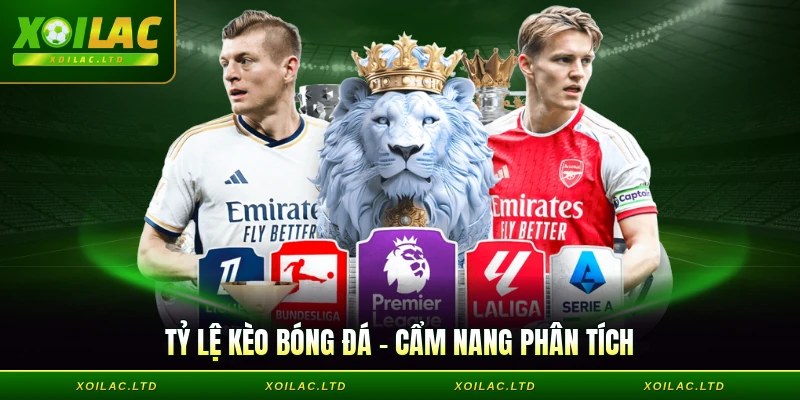 Tỷ Lệ Kèo Bóng Đá - Cẩm Nang Phân Tích